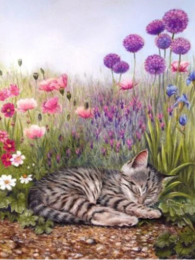 Diamond Painting Sleeping Flower cat*
