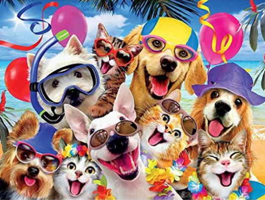 Diamond Painting Beach Pets*