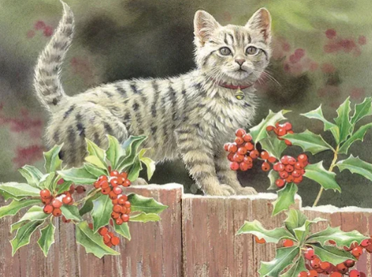 Diamond Painting Kattunge På Staket*