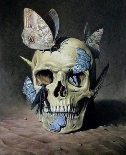 Diamond Painting Butterfly Skull*