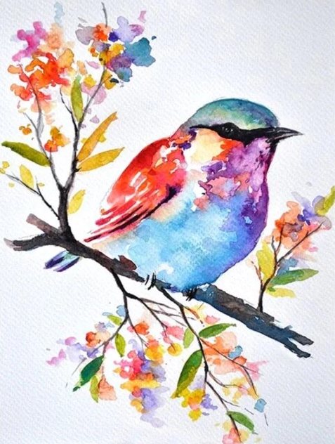 Diamond Painting Bird Watercolor*