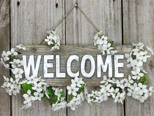 Diamond Painting Welcome Flowers*