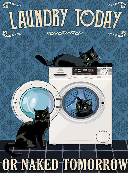 Diamond Painting Laundry*