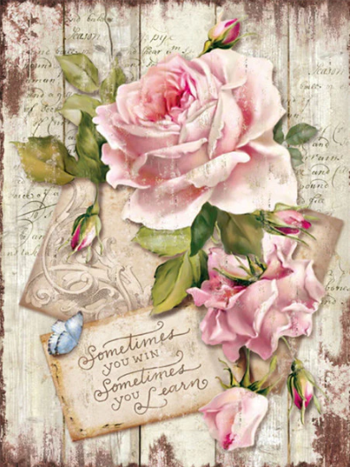 Diamond Painting AB Drills Vintage Pink Roses*