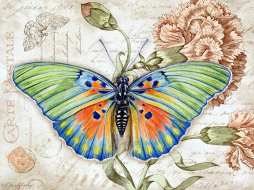 Diamond Painting Butterfly Vintage*