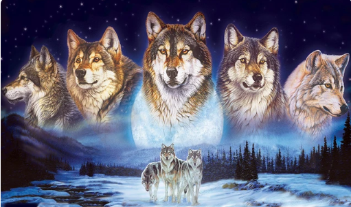 Diamond Painting Vargar*