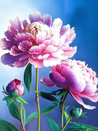 Diamond Painting Rosa Pioner*