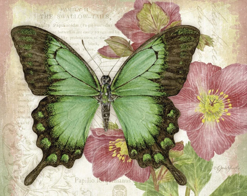 Diamond Painting Green Butterfly*