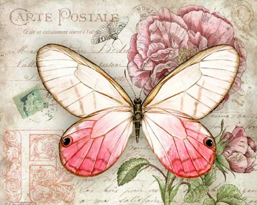 Diamond Painting Butterfly Vintage Pink*
