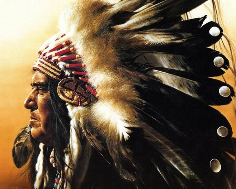 Diamond Painting Native American*