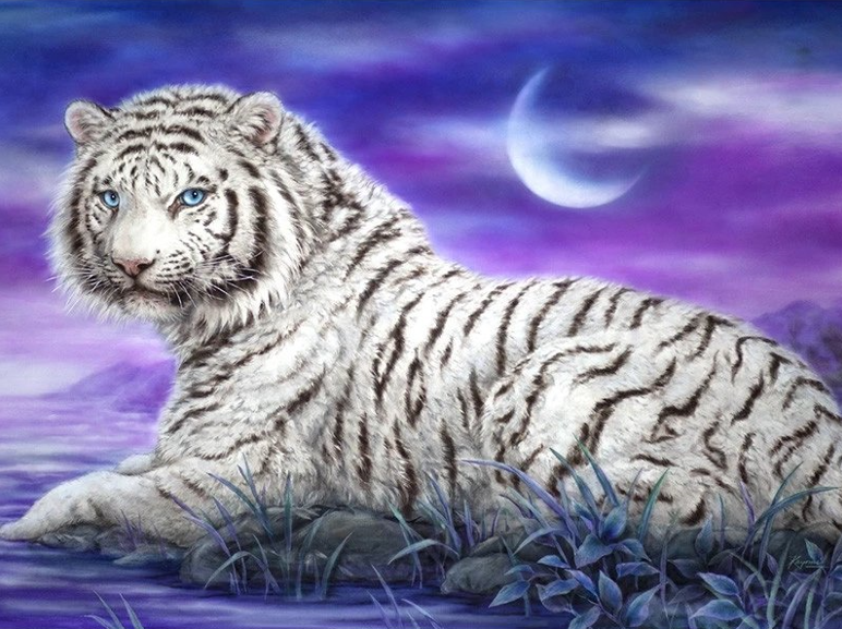 Diamond Painting Tiger Moonlight*