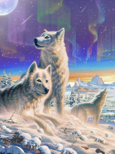 Diamond Painting Vargar I Norrsken*