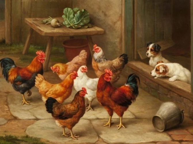 Diamond Painting Hens And Dogs*