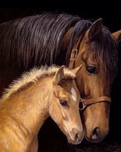 Ladda upp bild till gallerivisning, Diamond Painting Sto Med Föl
