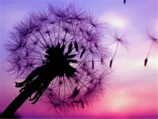 Diamond Painting Dandelion Purple Sky