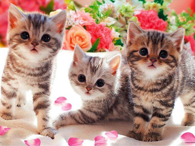 Diamond Painting Cats And Roses