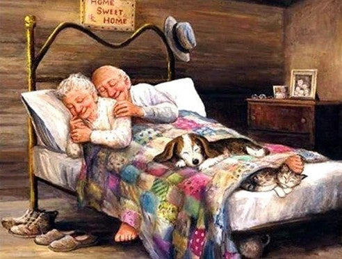 Diamond Painting Old Couple In Bed*
