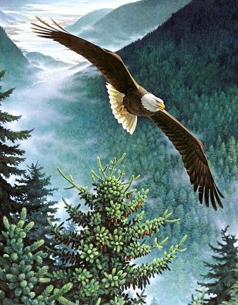 Diamond Painting Örn Skogslandskap*