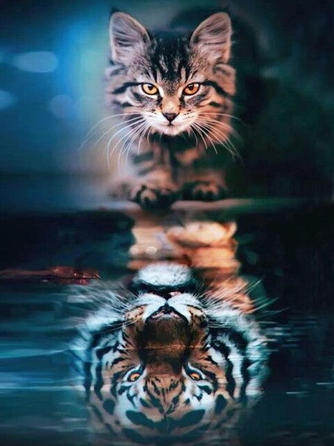 Diamond Painting Cat Tigerreflektion*