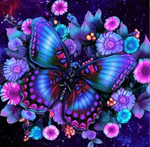 Diamond Painting Butterfly Universe*
