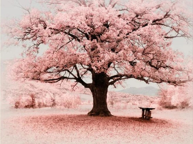 Diamond Painting Pink Tree*