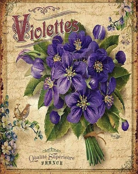 Diamond Painting Violettes*