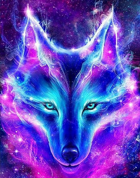 Diamond Painting Fox Universe*