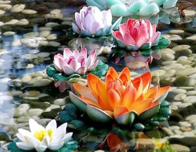 Diamond Painting Lotus Blommor*