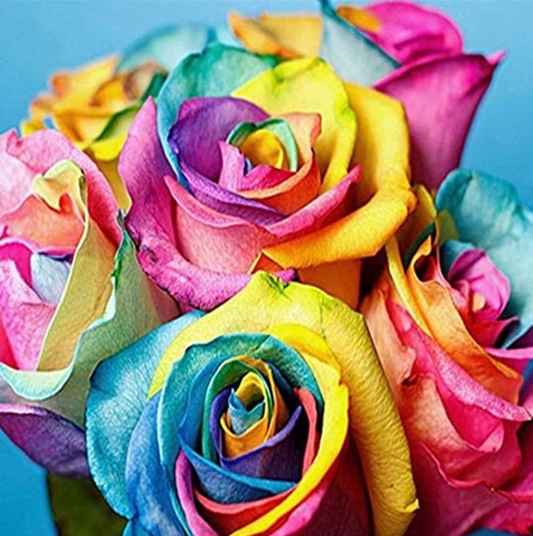 Diamond Painting Rainbow Roses*