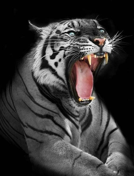 Diamond Painting Tiger Power*