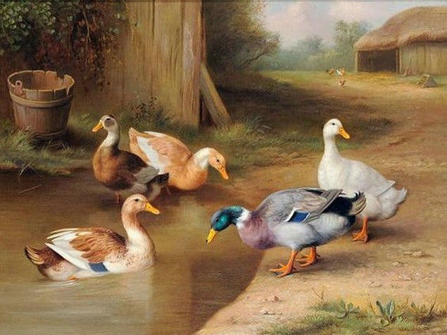 Diamond Painting Ankor*