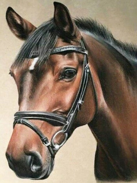 Diamond Painting Brun Häst*