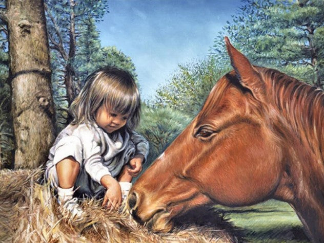 Diamond Painting Flicka Och Häst*