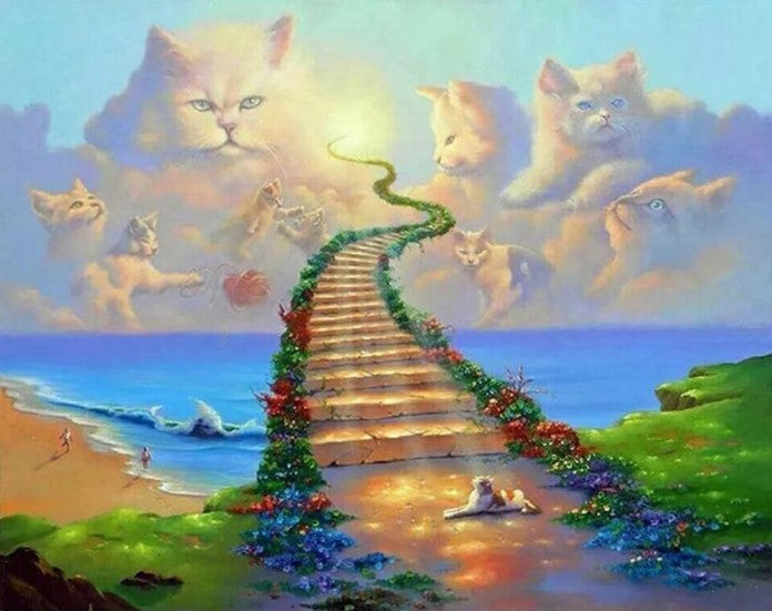 Diamond Painting Cat Heaven*