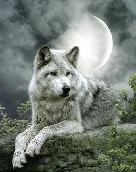 Diamond Painting AB Drills Varg I Månsken*