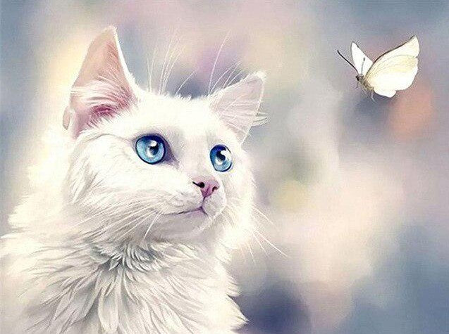 Diamond Painting AB Katt Med Fjäril*