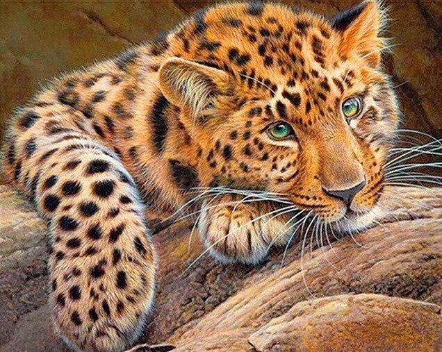 Diamond Painting AB Drills Leopard*