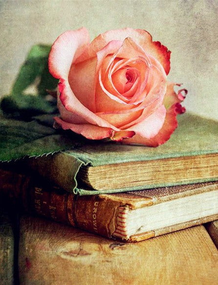 Diamond Painting Books Rose*
