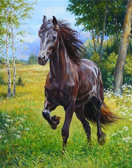 Diamond Painting Black Beauty*