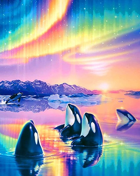 Diamond Painting AB Drills Späckhuggare Norrsken*