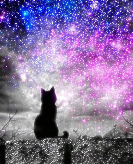Diamond Painting Cat Universe*