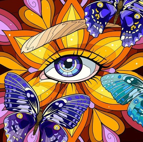 Diamond Painting Eye Butterflies*