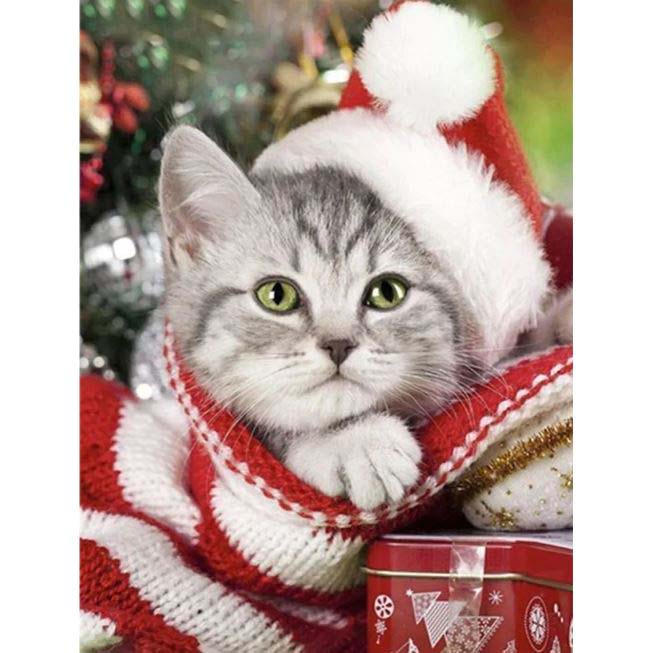 Diamond Painting Julkatt*