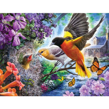 Ladda upp bild till gallerivisning, Diamond Painting Orioles Matar Barnet*
