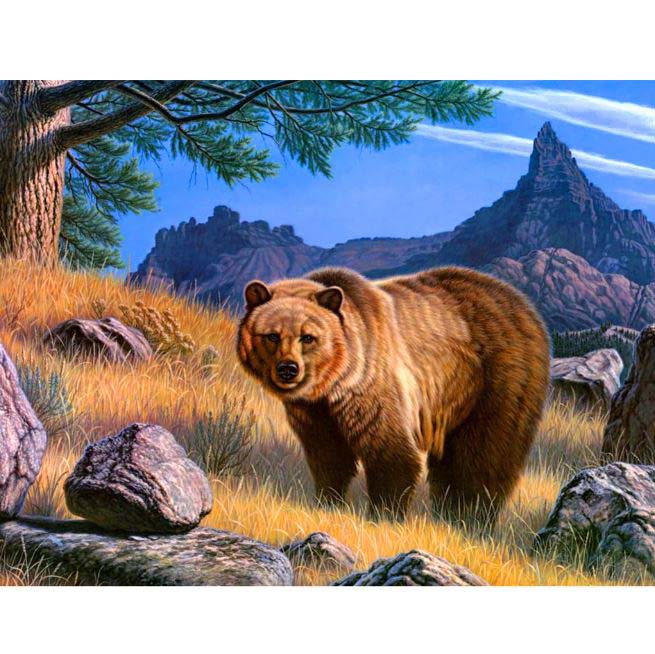 Diamond Painting Björn*