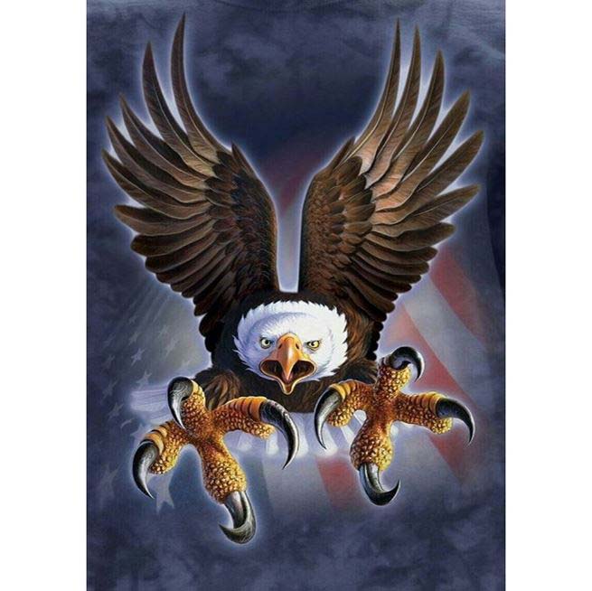 Diamond Painting Attack Of Eagle *