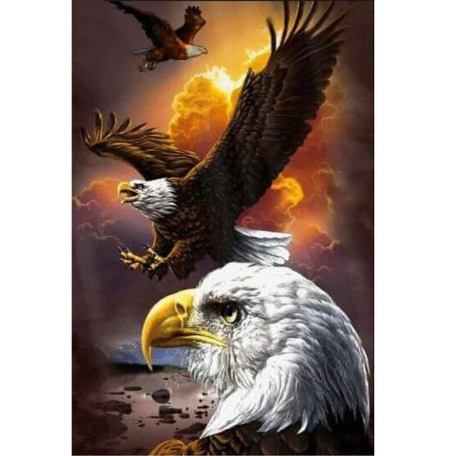 Diamond Painting Eagles