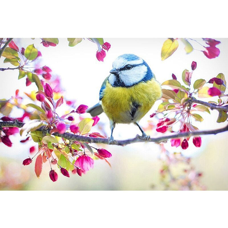 Diamond Painting Finch On Twig