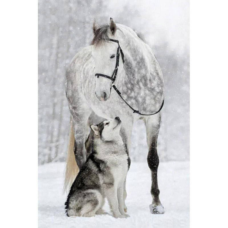 Diamond Painting Horse And Dog