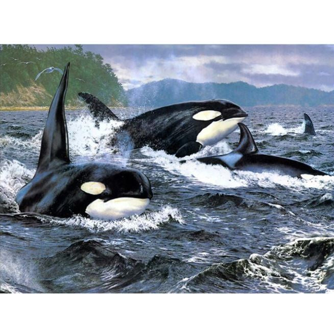 Diamond Painting Killer Whales